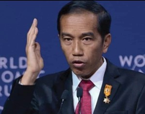 Jokowi Perintahkan BTP Berantas Mafia Migas
