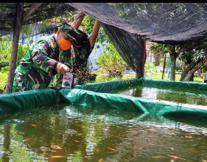 Ditengah Covid-19 Danlanud Rsn Tabur Ribuan Ikan Lele