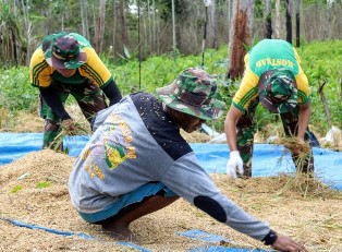 Prajurit Kostrad Bantu Petani Warga Binaan Panen Padi