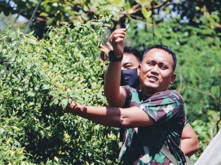Dampak Covid-19, Lanud Rsn Garap Lahan Tidur