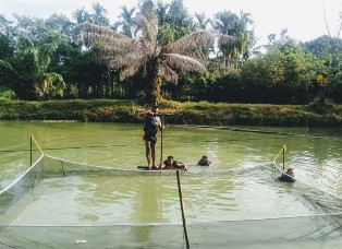 Batalyon Komando 462 Paskhas Manfaatkan Lahan Kosong Untuk Program Ketahanan Pangan