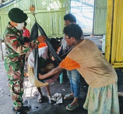 Puskesmas Sota Bersama Satgas Yonif Kostrad Gelar Posyandu di Pedalaman Papua