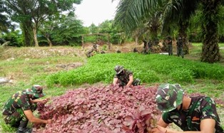 Yonko 462 Paskhas Bagikan Hasil Program Ketahanan Pangan