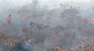Saat Idul Fitri, Rekayas Hujan Via TMC Basahi Gambut Riau