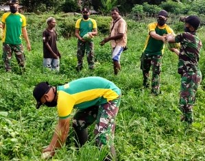 Satgas Yonif 411 Kostrad Panen Buah Bersama Warga Perbatasan Sota