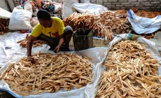 Pemasaran produk UKM Bintan Terkendala Fasillitas Internet