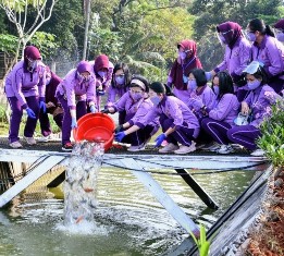 Ketum IKKT�Giat Penanaman Wujudkan Ketahanan Pangan