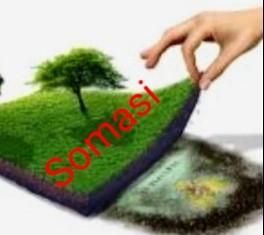 Laskar Merah Putih Layangkan Somasi ke PT. Musim Mas Terkait Lahan dan Lingkungan�