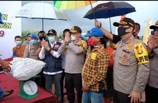 Program Kampung Tangguh, Polda Riau Gandeng Pedagang Jagung Bakar Pekanbaru di Panen Raya