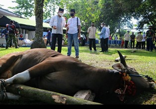 Lanud Rsn Sumbang Puluhan Hewan Kurban