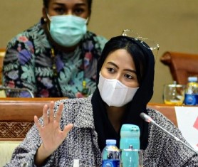 Anggota Komisi VII DPR RI Bicara Perubahan Iklim di Forum Internasional