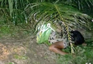 Lembu Beri Petunjuk, Suami Tak Kuat Saksikan Istri Tak Bernyawa Terlilit Tali di Inhu