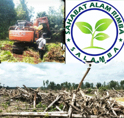 Perambahan dan Deforestasi Hutan Masif, Ini Desakan SALAMBA ke Menteri KLHK dan Gubri