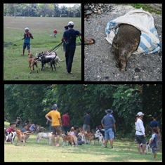 Lanud Rsn Ajak PORBBI Buru Babi Hutan
