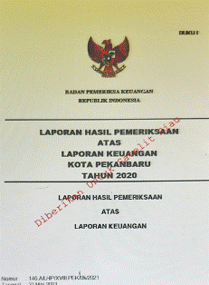 19 Paket Pekerjaan Dinas Perkim Kota Pekanbaru Jadi Temuan BPK RI