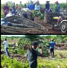 Aksi Pulihkan Hutan, SALAMBA Dorong GAKUM KLHK-DLHK Riau Dukung Warga Sungai Linau