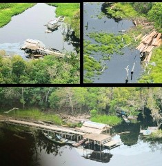 Kapolda Riau Bertekad Negara Tak Boleh Kalah dari Kejahatan Lingkungan