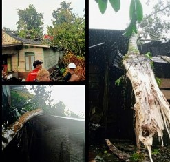 Delapan Rumah Rusak Diterjang Angin Kencang dan Hujan Deras di Pakkat
