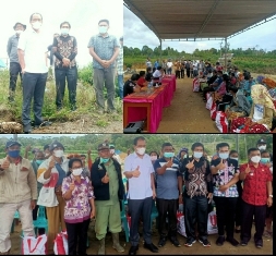 Bupati Dosmar Banjarnahor Tinjau Lahan Pertanian di Desa Sigalogo
