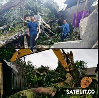 Rumah Rusak dan Pohon Tumbang Diterjang Angin Kencang di Humbahas