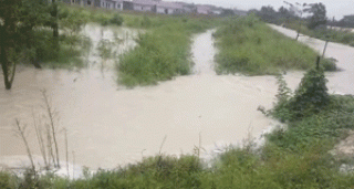 Minta Hilir Ditembuskan, Pj Walikota Ditunggu Warga Tinjau Sungai Sibam