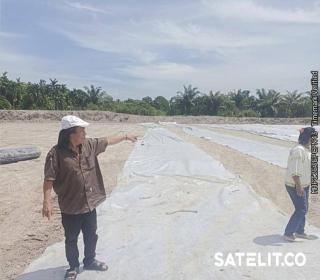 Bak Dipingpong Mengemis Haknya Atas Ganti Rugi Tol: Janda di Pekanbaru Mengeluh ke Presiden