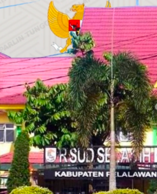 RSUD Selasih 